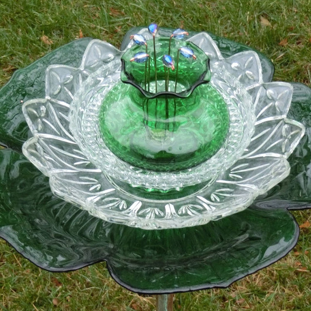 Plate Bloomer #145