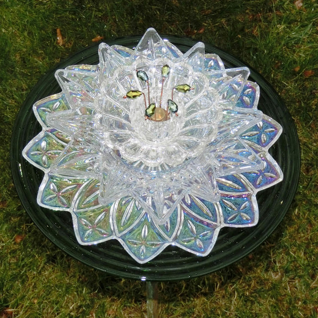 Plate Bloomer #147