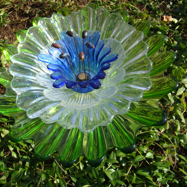 Plate Bloomer #15