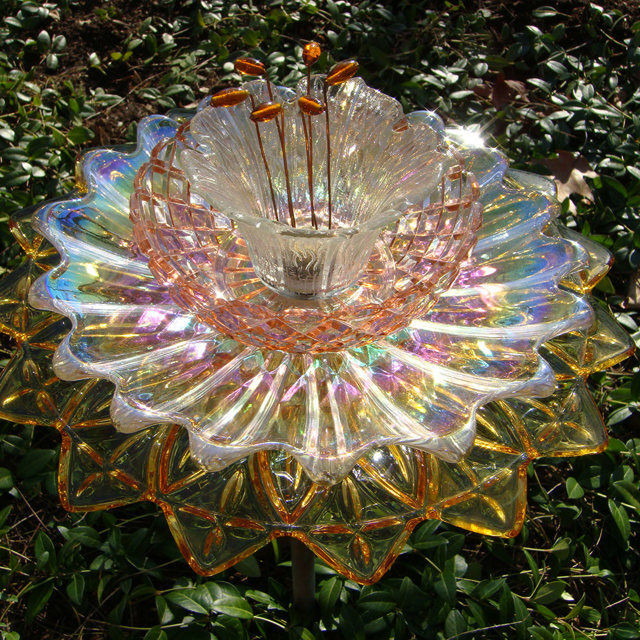 Plate Bloomer #16