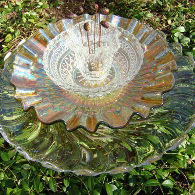 Plate Bloomer #18