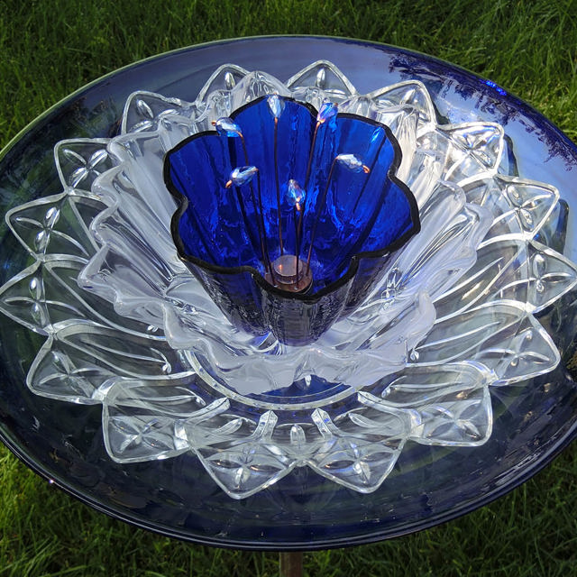 Plate Bloomer #181