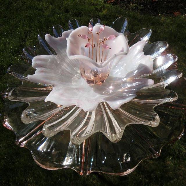 Plate Bloomer #191