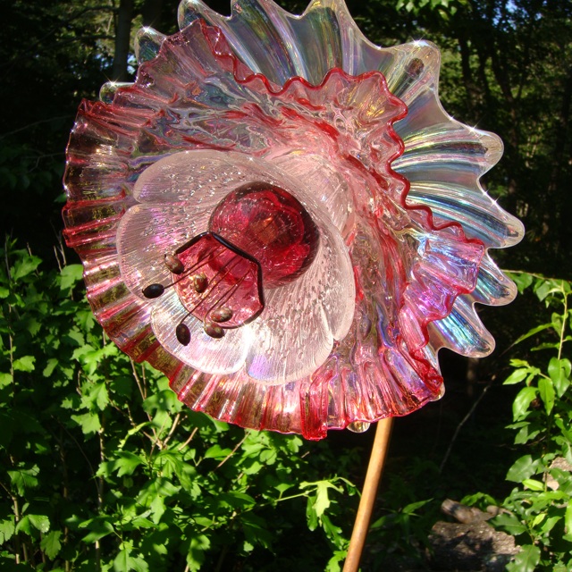 Plate Bloomer #2