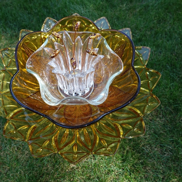 Plate Bloomer #33