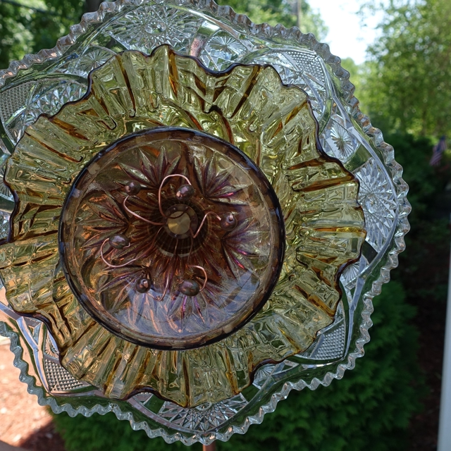 Plate Bloomer #55