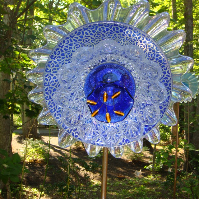 Plate Bloomer #6