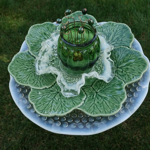 Plate Bloomer #61