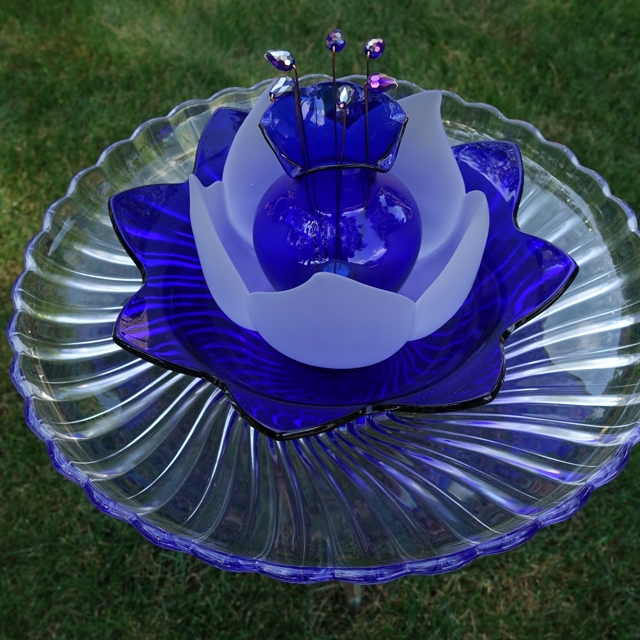 Plate Bloomer #62