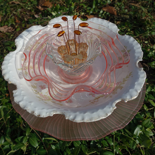 Plate Bloomer #8