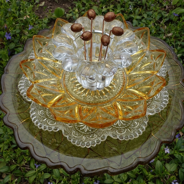 Plate Bloomer #41